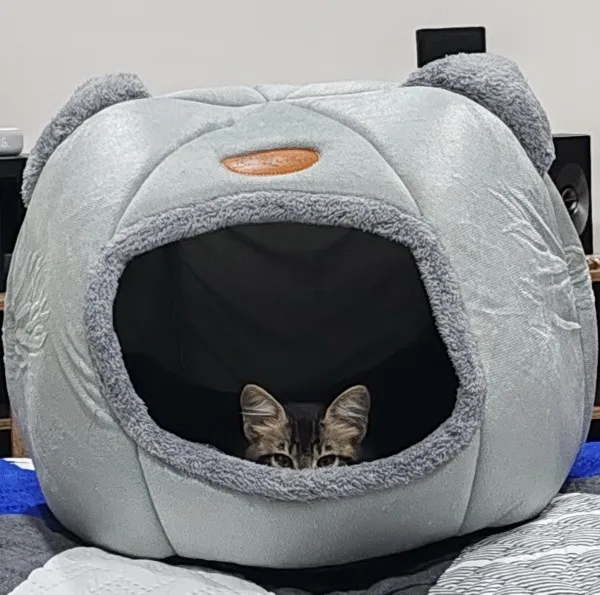 Cozy Cotton Cat Cave: Ultimate Winter Pet Bed Retreat photo review