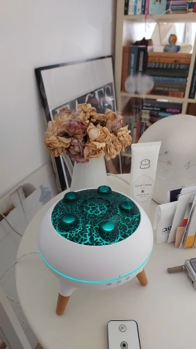 Enchanting Jellyfish Flame Humidifier & Aroma Diffuser 350 ML photo review