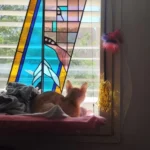 Sunny Cat Hammock Bed - Cozy Aerial Window Nest for Cats photo review