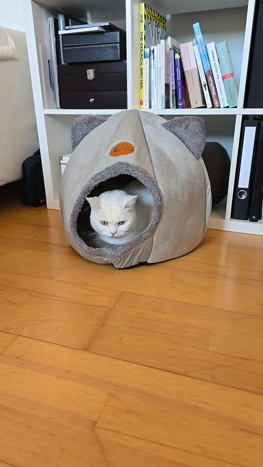 Cozy Cotton Cat Cave: Ultimate Winter Pet Bed Retreat photo review