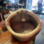 Cozy Cartoon Cat Bed: Removable, Washable, & Foldable Delight photo review