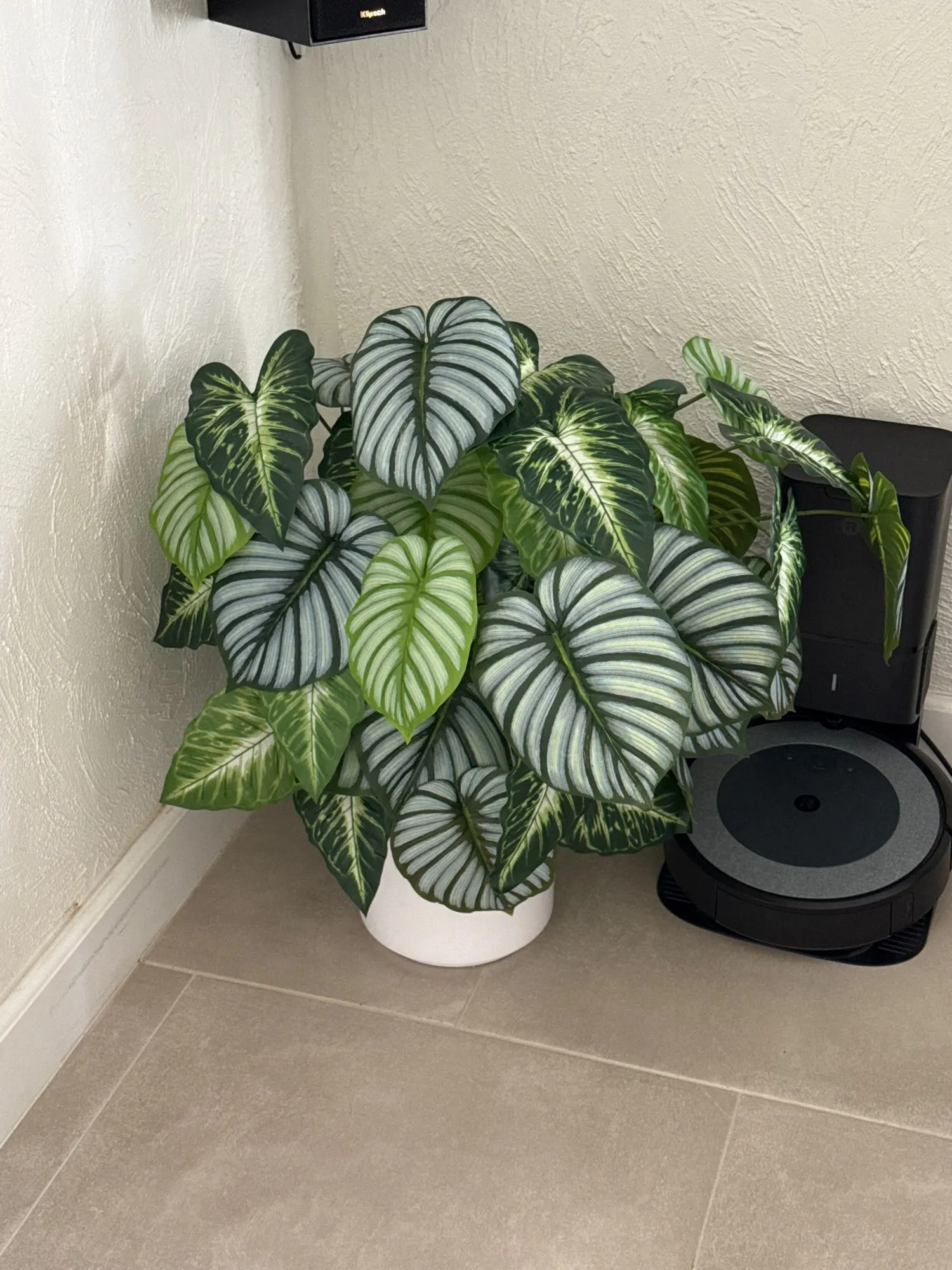 Lifelike 60-103 cm Faux Monstera & Pothos for Any Space photo review