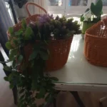 Wall Mounted Vegetable and Fruit Basket, Simulated Rattan Hanging Basket, Plastic Wall-mounted Hanging Basket, Home Decoration photo review