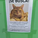 Elegant Jacquard Sofa Seat Cover - Easy-Clean Stripe Design photo review