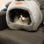 Cozy Cotton Cat Cave: Ultimate Winter Pet Bed Retreat photo review