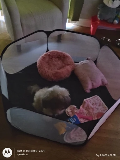 Home Plush Pet Nest Winter Cat Nest Dog Nest Warm Detachable and Washable Round Cat Nest Pet Bed Seasonal Universal Decoration photo review
