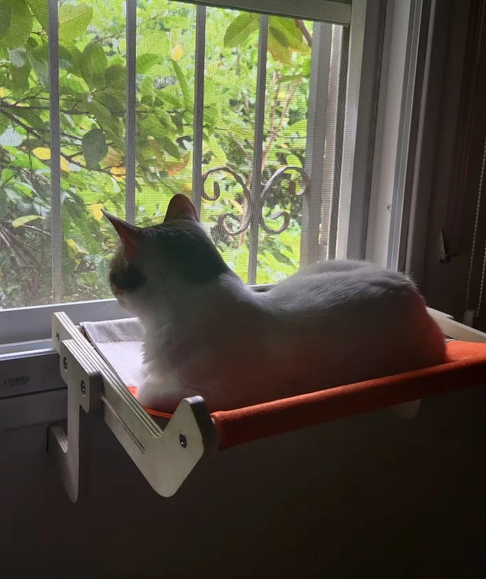 Cozy Cat Hammock with Window View & Wooden Stand photo review