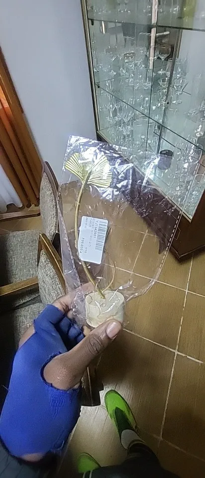 Elegant Nordic Gold Ginkgo Leaf Sculpture for Chic Decor photo review