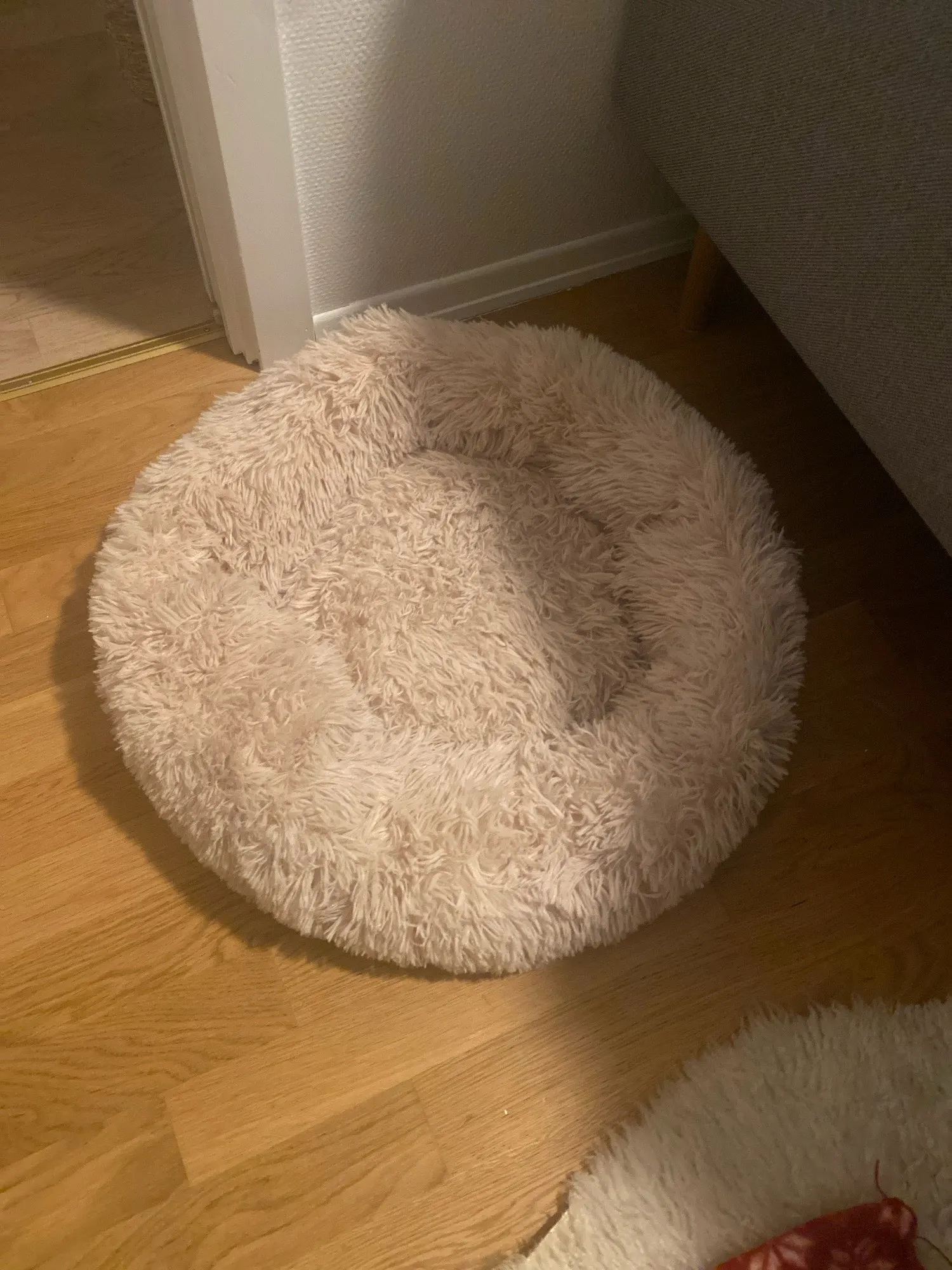 Plush Donut Cat Bed: Cozy, Washable Comfort for Pets photo review