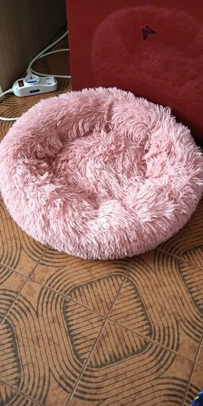 Cozy Round Pet Bed in Stylish Gradient for Large Dogs photo review