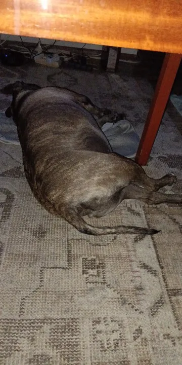 Luxurious Cobblestone Non-Slip Memory Foam Bath Mat photo review