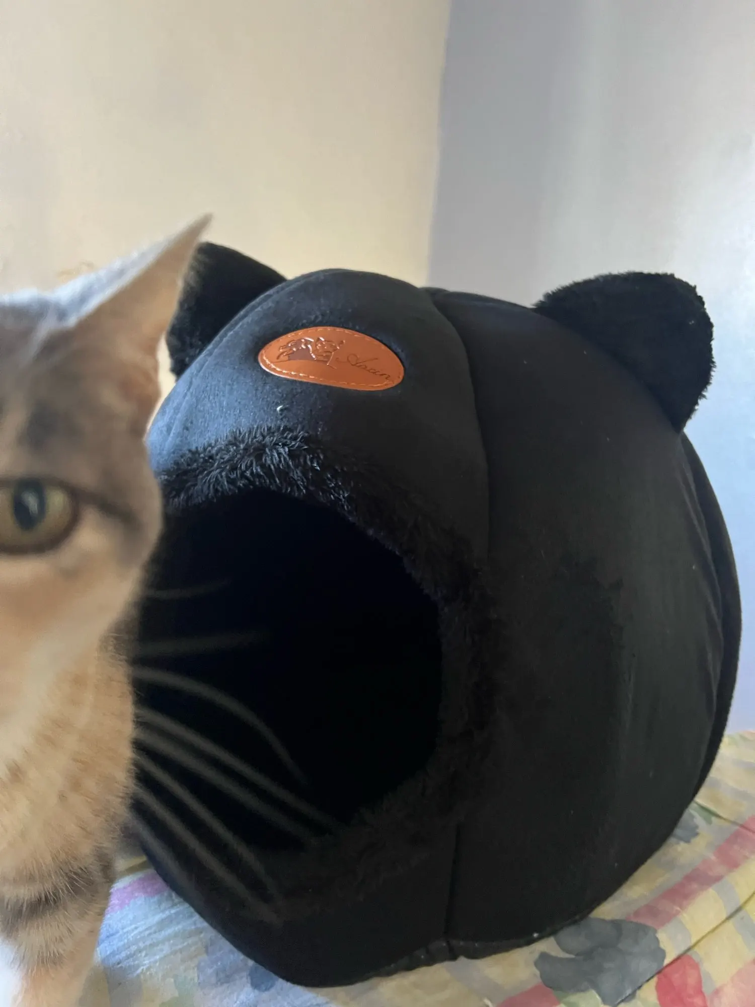 Cozy Cotton Cat Cave: Ultimate Winter Pet Bed Retreat photo review