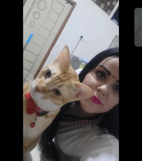 Cozy Flower Tent Nest for Cats & Small Dogs - All Seasons photo review