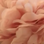 Elegant 5-Piece Hydrangea & Peony Bouquet for Home Decor photo review