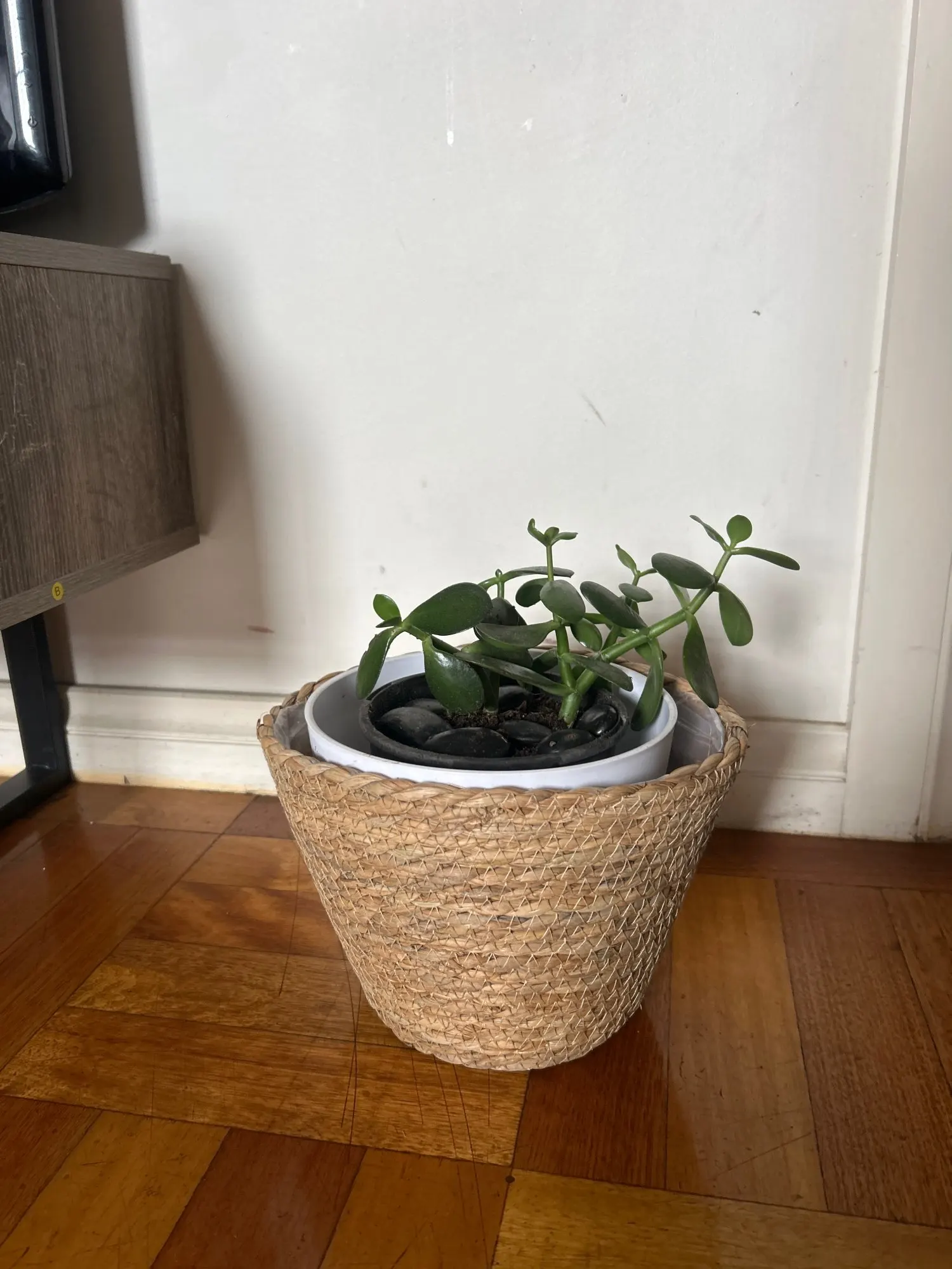 Chic Straw Weaving Flower Pot Basket for Indoor & Outdoor Decor photo review