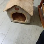 Cozy Foldable Pet House: Washable Cave for Cats & Small Dogs photo review