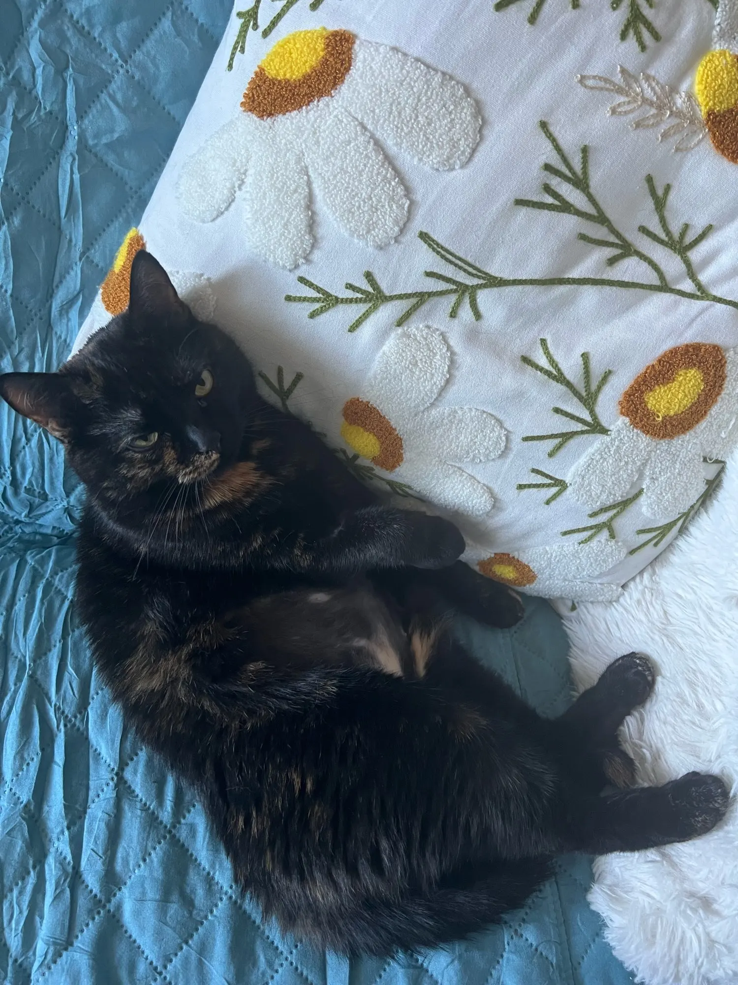 Waterproof Sofa Slipcover for Kids & Pets - Non-Slip Comfort photo review