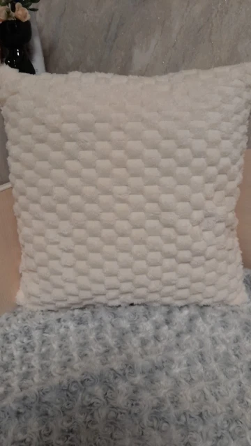 Cozy Cream Pineapple Turtle Plush Pillowcase for Home Decor photo review