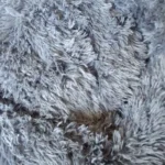 Plush Donut Cat Bed: Cozy, Washable Comfort for Pets photo review