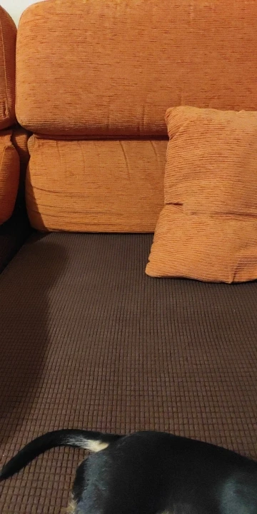 Luxurious Stretch Sofa Cover – Ultimate Living Room Protection photo review