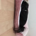 Bed for Dog Cat Pet Square Plush Kennel Medium Small Dog Sofa Bed Cushion Pet Calming Dog Bed House Pet Supplies Accessories photo review