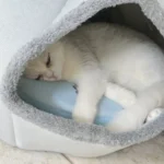 Cozy Cotton Cat Cave: Ultimate Winter Pet Bed Retreat photo review