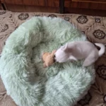 Plush Donut Cat Bed: Cozy, Washable Comfort for Pets photo review