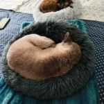 Home Plush Pet Nest Winter Cat Nest Dog Nest Warm Detachable and Washable Round Cat Nest Pet Bed Seasonal Universal Decoration photo review