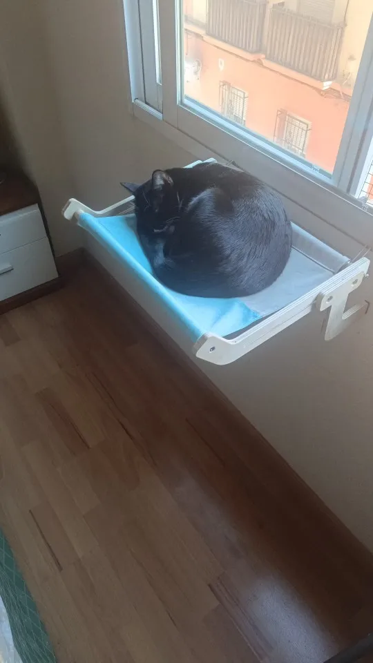Cozy Cat Hammock with Window View & Wooden Stand photo review