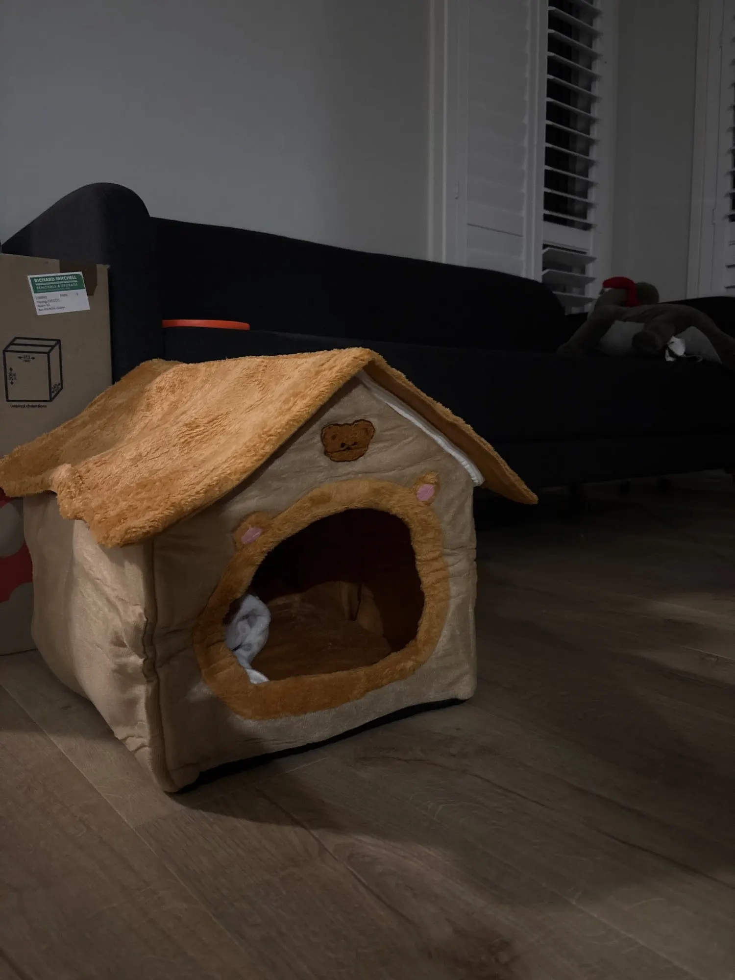 Cozy Foldable Pet House: Washable Cave for Cats & Small Dogs photo review