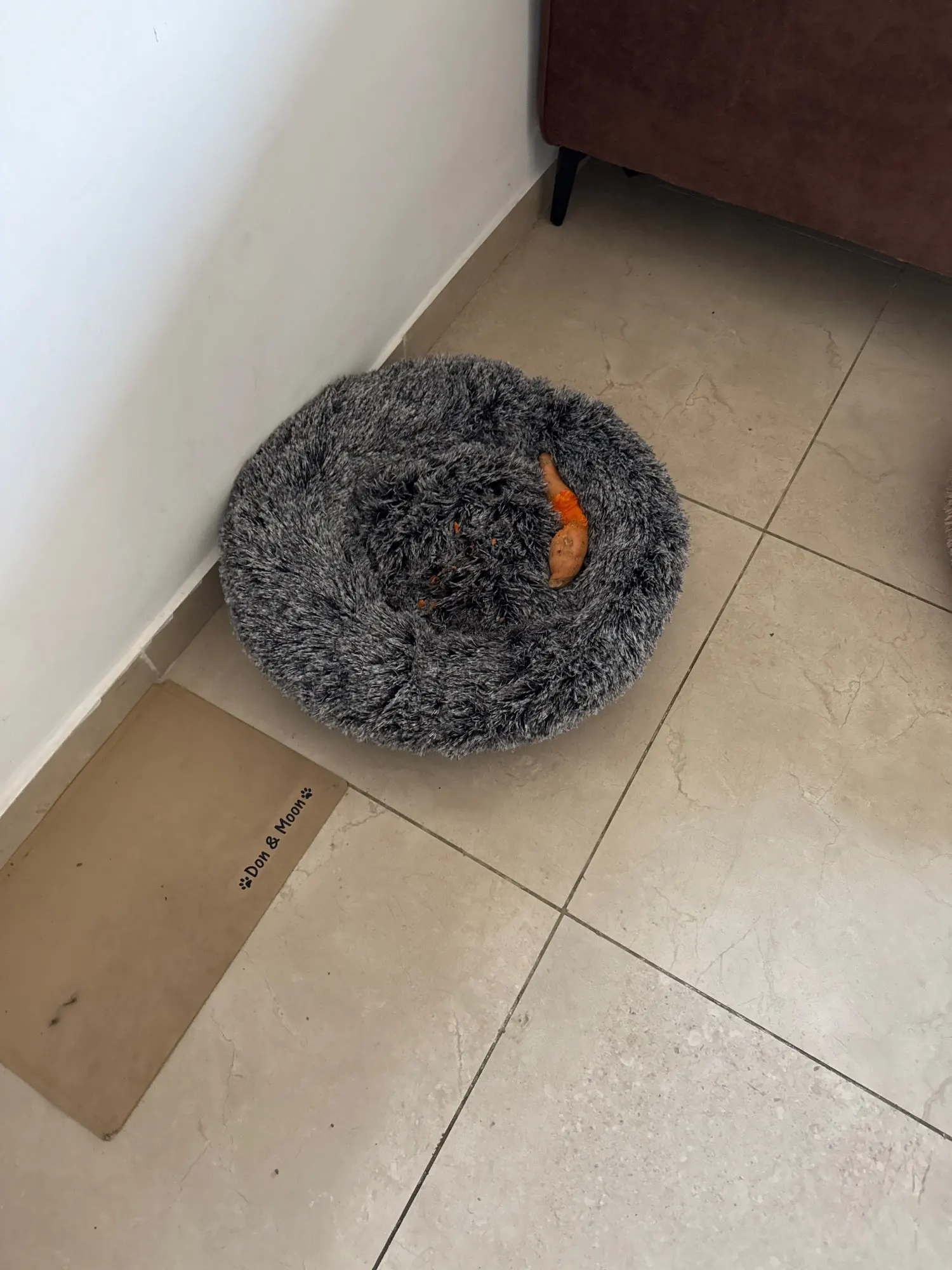 Plush Donut Cat Bed: Cozy, Washable Comfort for Pets photo review