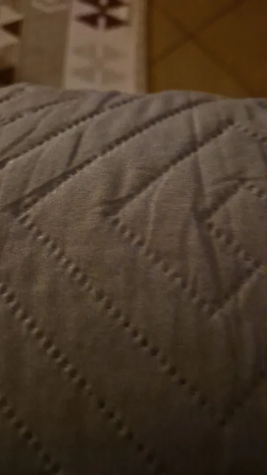 Luxurious Jacquard Sofa Cover for Custom Fit Comfort photo review