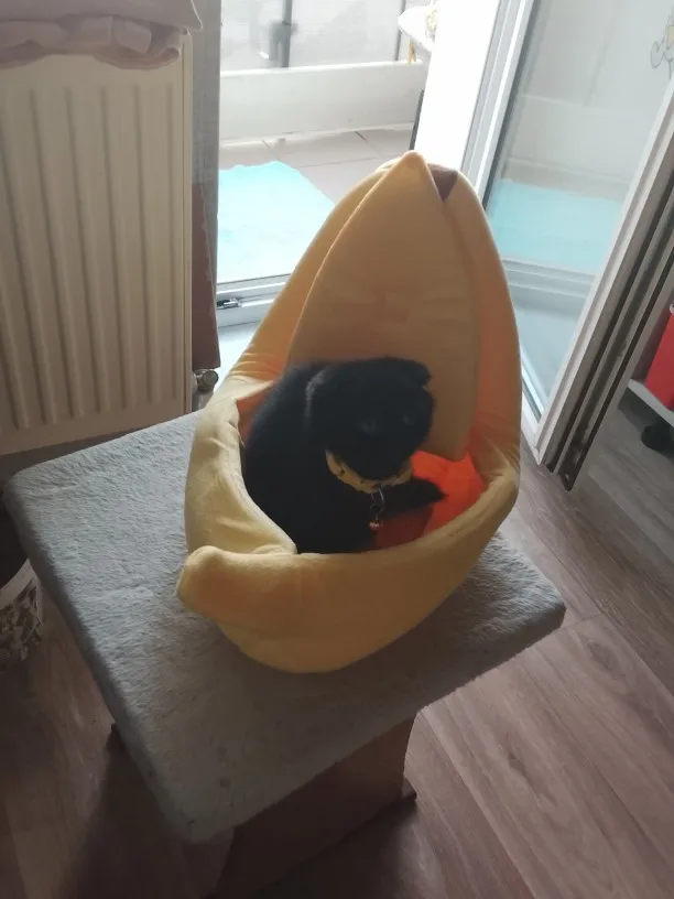 Cozy Banana Cat Bed: Cute & Portable Pet House for Cats photo review