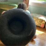 Cozy Dual Cat Bed & Tunnel - Interactive Plush Nest photo review