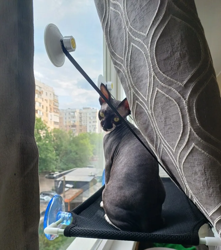 Breathable Cat Hammock with Suction Cups for Sunbathing Bliss photo review