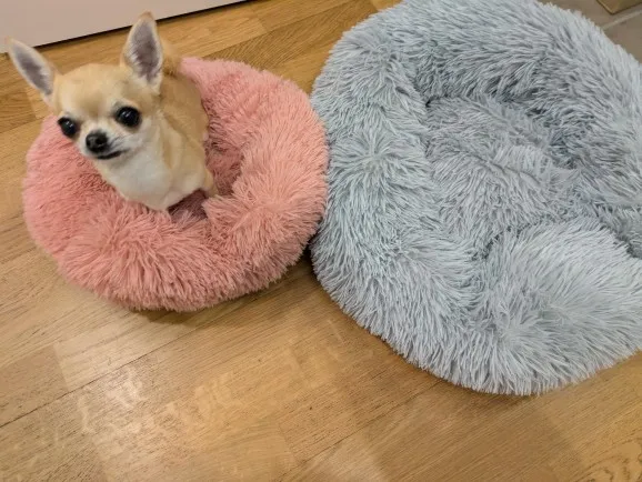 Cozy Round Pet Bed in Stylish Gradient for Large Dogs photo review