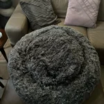 Plush Donut Cat Bed: Cozy, Washable Comfort for Pets photo review