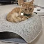 Cozy Felt Donut Cat Bed & Tunnel - Interactive Play Haven photo review