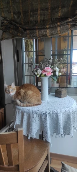 Luxurious Autumn White Silk Roses Bouquet for Timeless Elegance photo review