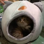 Cozy Cotton Cat Cave: Ultimate Winter Pet Bed Retreat photo review