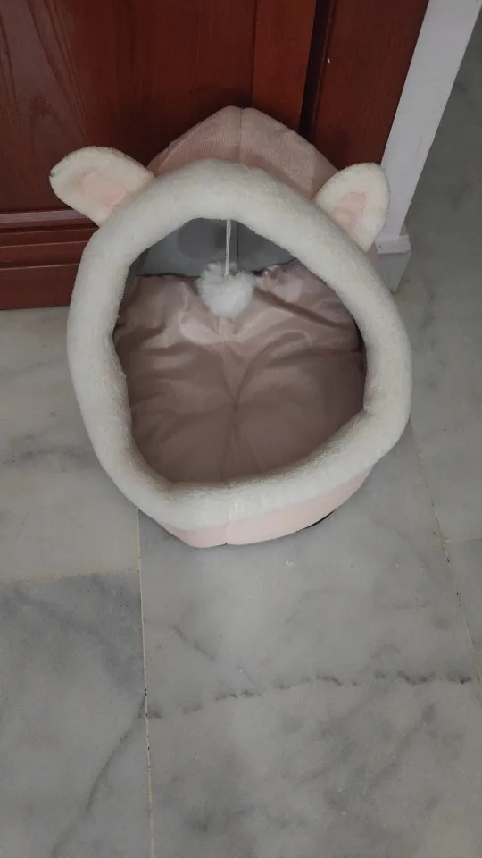 Cozy Cartoon Cat Bed: Removable, Washable, & Foldable Delight photo review