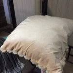 Cozy Cream Pineapple Turtle Plush Pillowcase for Home Decor photo review