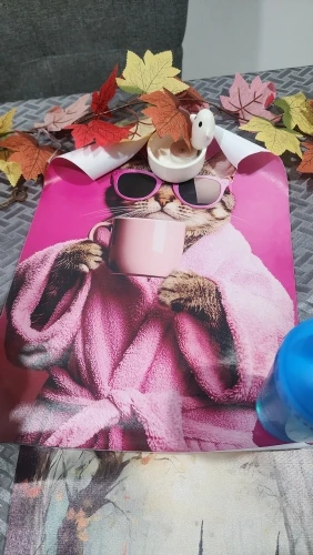 Animal Pink Cat Drinking Coffee Posters Canvas Painting Print Cat Art Room Home Kitchen Bar Cafe Room Wall Decor photo review
