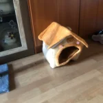 Cozy Foldable Pet House: Washable Cave for Cats & Small Dogs photo review