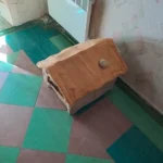 Cozy Foldable Pet House: Washable Cave for Cats & Small Dogs photo review