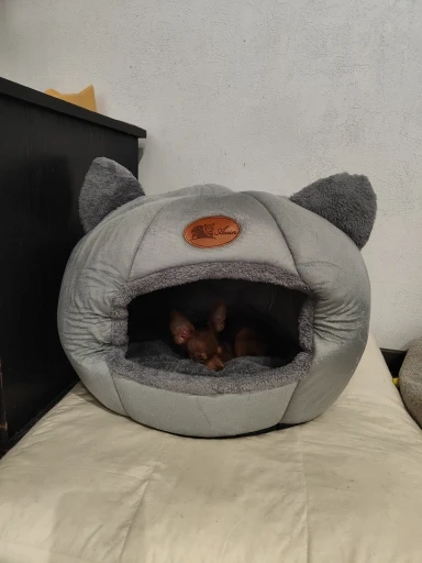 Cozy Cotton Cat Cave: Ultimate Winter Pet Bed Retreat photo review