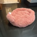 Cozy Bear Paw Pet Bed - Fluffy Comfort for All Sizes photo review