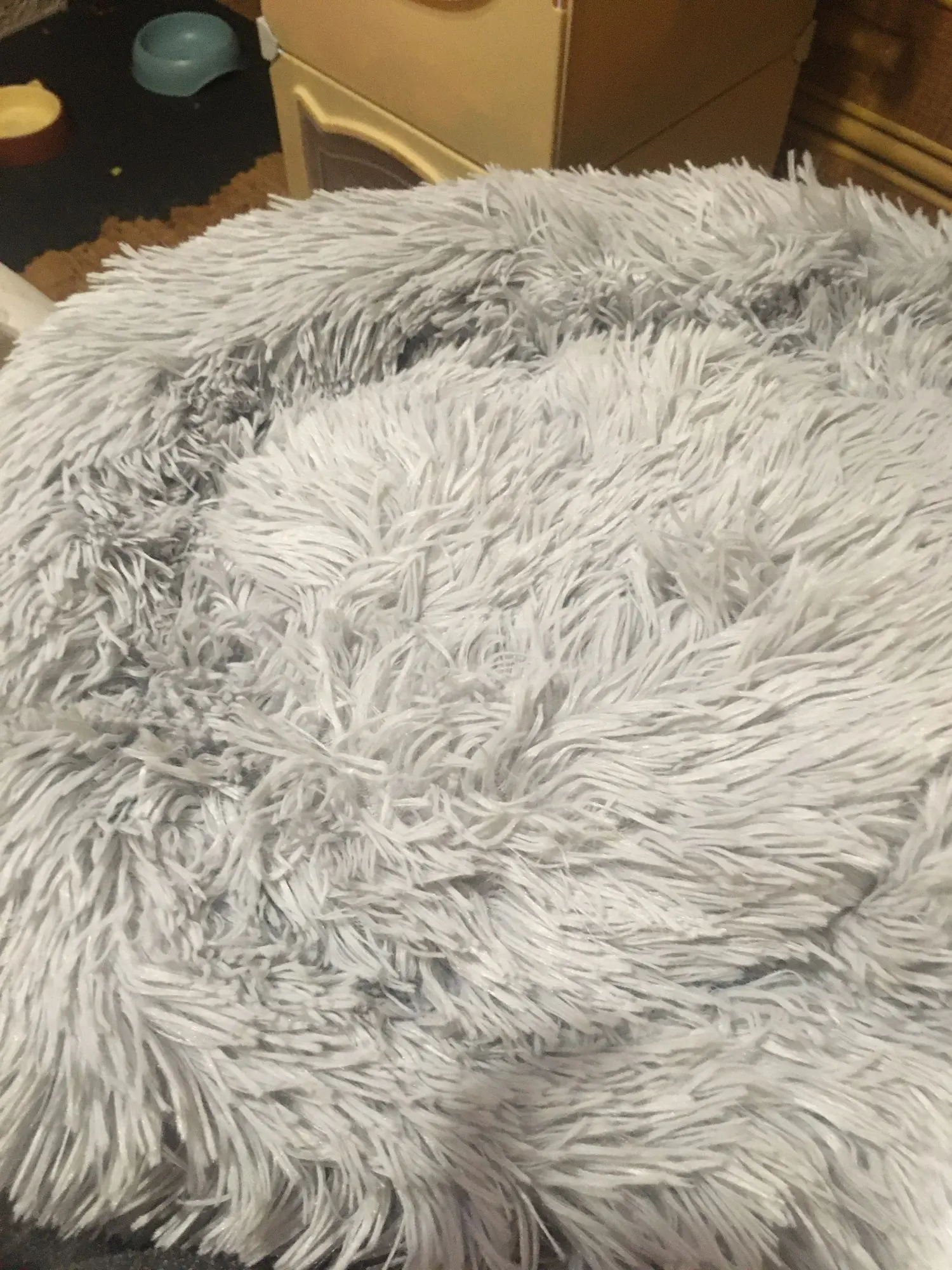 Cozy Plush Cat Bed for Ultimate Warmth & Comfort photo review