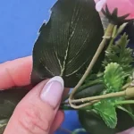 Luxurious Autumn White Silk Roses Bouquet for Timeless Elegance photo review