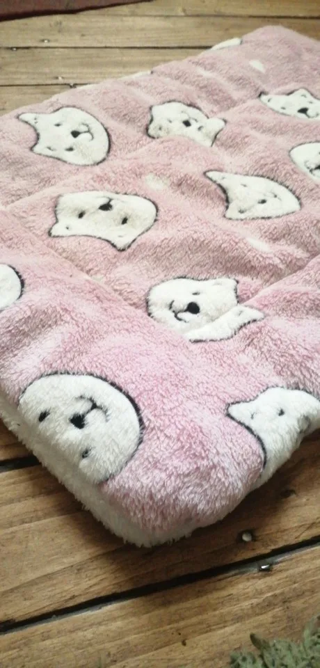 Cozy Plush Cat & Small Dog Bed Mat - Breathable & Soft photo review